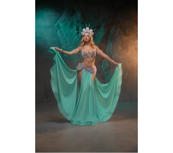 Professional bellydance costume (Classic 413A_1.jpg)